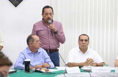 COMUNICADO 1247-Sesión de ayuntamiento (9)