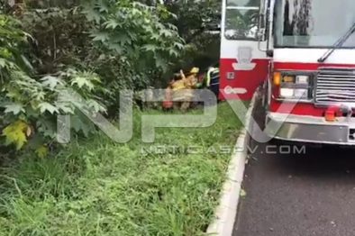 Seguridad Bahia de Banderas ·7076