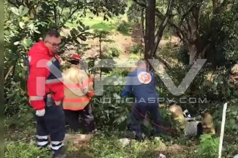 Seguridad Bahia de Banderas ·7089