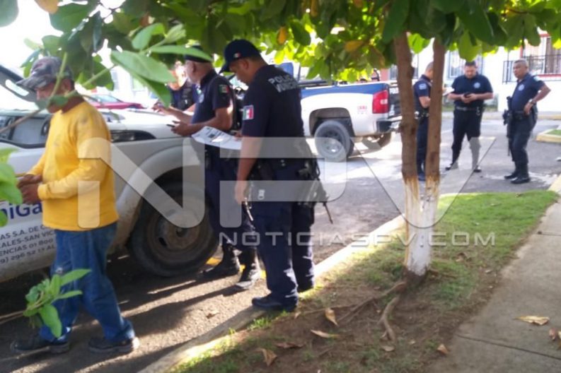 Seguridad Bahia de Banderas ·7276