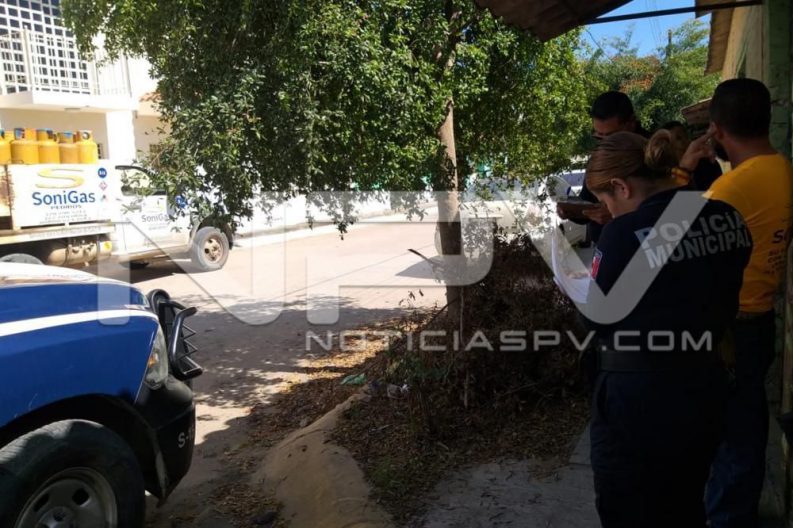 Seguridad Bahia de Banderas ·7691