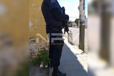 Seguridad Bahia de Banderas ·7692