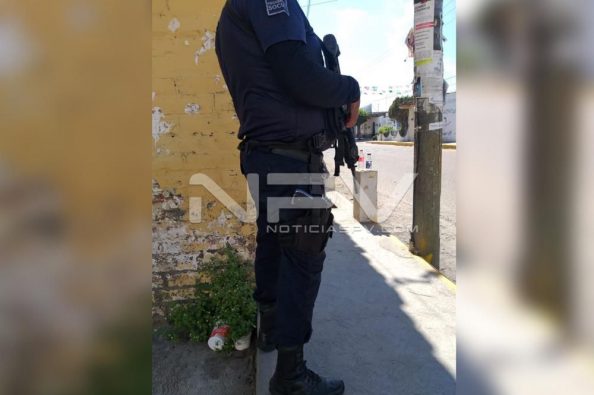 Seguridad Bahia de Banderas ·7692