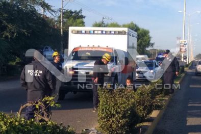 Seguridad Bahia de Banderas ·8232