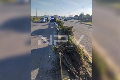 Seguridad Bahia de Banderas ·8241