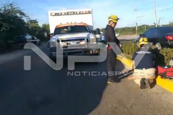 Seguridad Bahia de Banderas ·8243