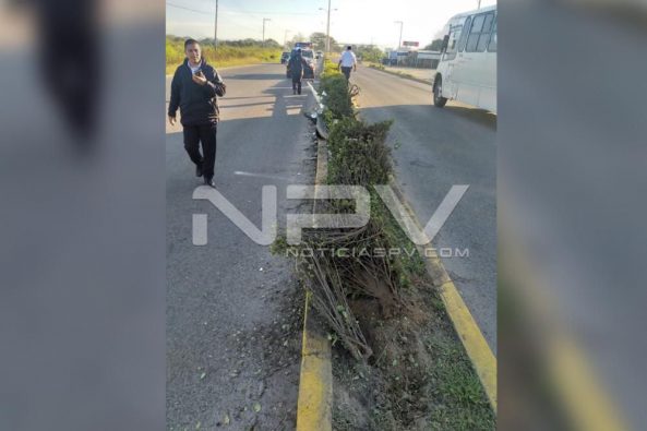Seguridad Bahia de Banderas ·8245