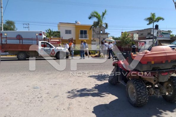 Seguridad Bahia de Banderas ·8723