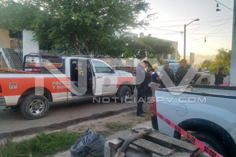 Seguridad Bahia de Banderas ·9578