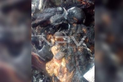 Seguridad Bahia de Banderas ·9630