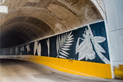 COMUNICADO 1324-IVC-Intervención mural-tunel chico (1)