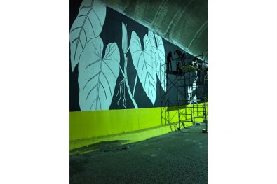 COMUNICADO 1324-IVC-Intervención mural-tunel chico (2)