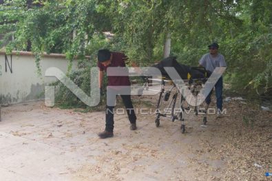 SEGURIDAD BAHIA 1436