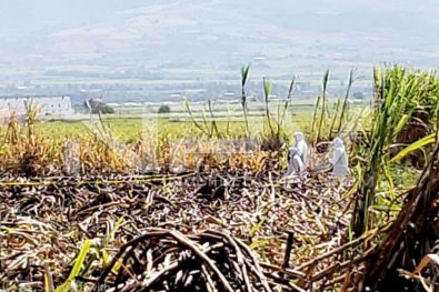 seguridad bahia 1083