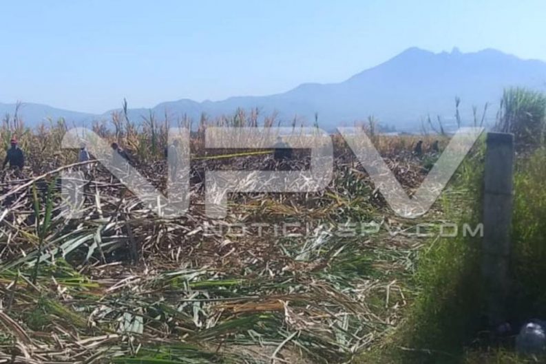 seguridad bahia 1084