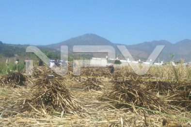 seguridad bahia 1085