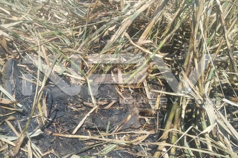 seguridad bahia 1087