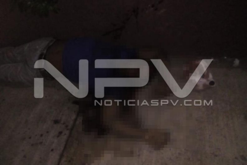 seguridad bahia 1600