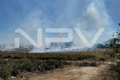 seguridad bahia 2728