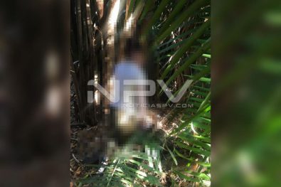 seguridad bahia 3211