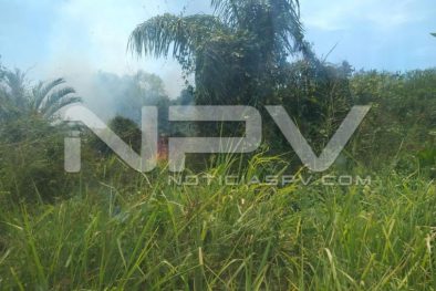 seguridad bahia 4810