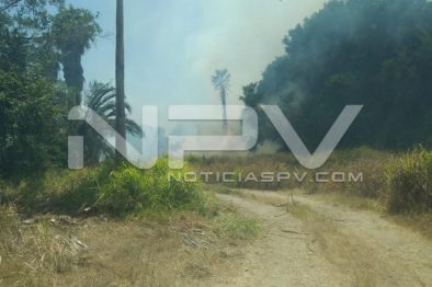 seguridad bahia 4813