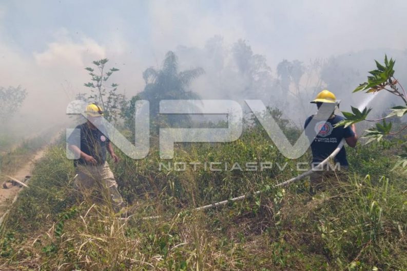 seguridad bahia 4820