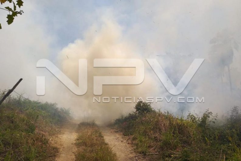 seguridad bahia 4821