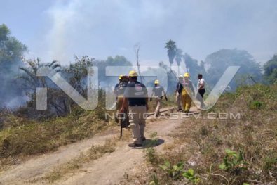 seguridad bahia 4824