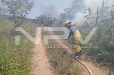 seguridad bahia 4832