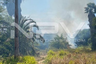 seguridad bahia 4837