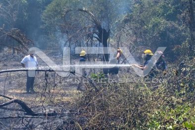 seguridad bahia 4854