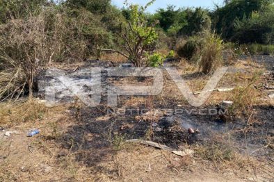 seguridad bahia 4940