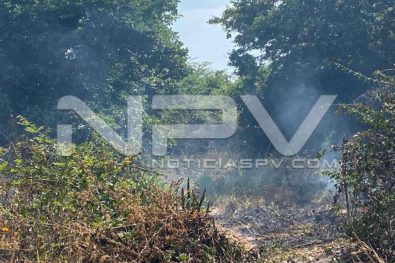 seguridad bahia 4946