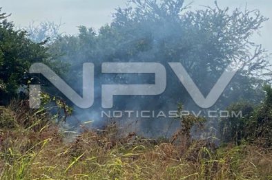 seguridad bahia 4947