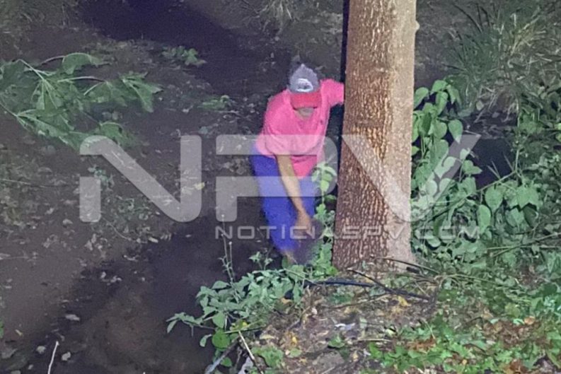 seguridad bahia 5165