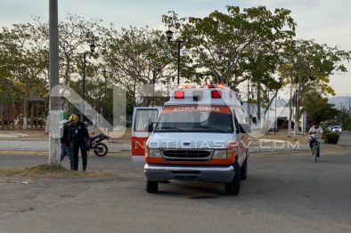 seguridad bahia 6397