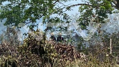 seguridad bahia 6795