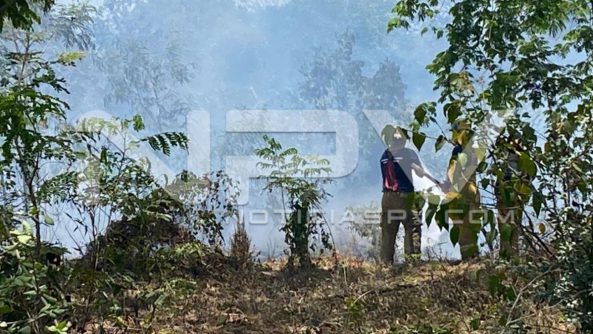 seguridad bahia 6799