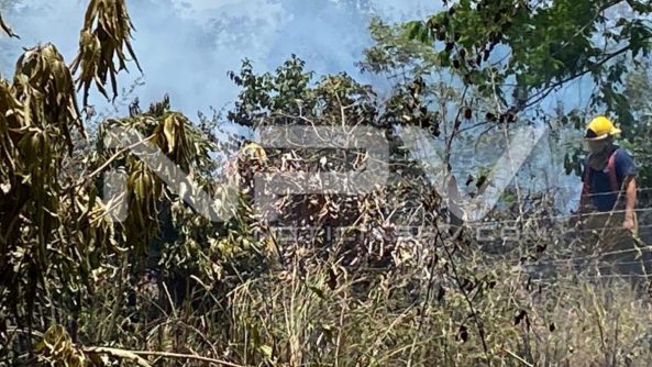 seguridad bahia 6806