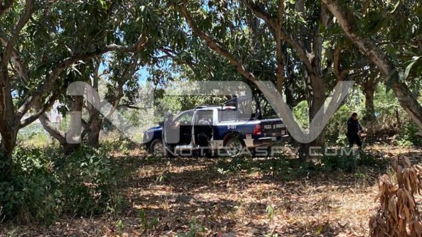 seguridad bahia 6809