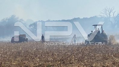 seguridad bahia 6831