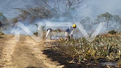 seguridad bahia 6832