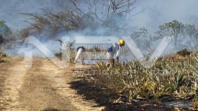 seguridad bahia 6832