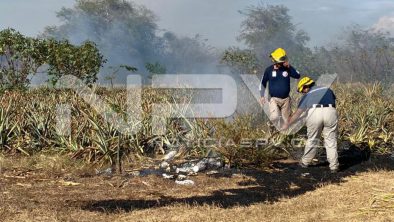 seguridad bahia 6833