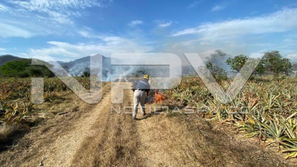 seguridad bahia 6834