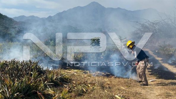 seguridad bahia 6835