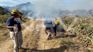 seguridad bahia 6836