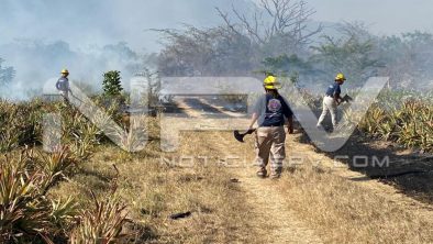 seguridad bahia 6837