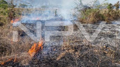 seguridad bahia 6838